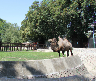 photo 141682
