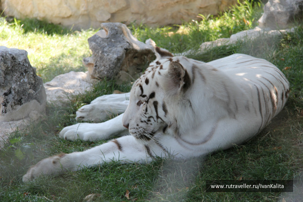 photo 141688