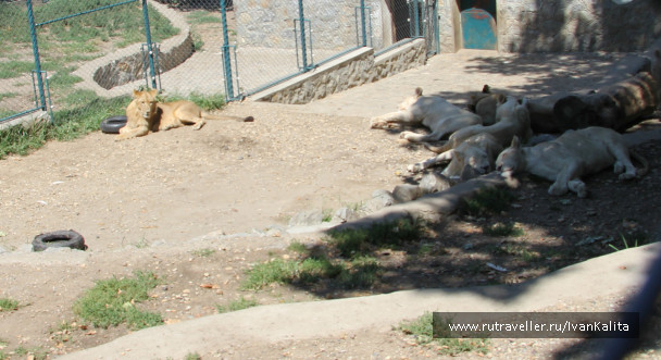 photo 141695
