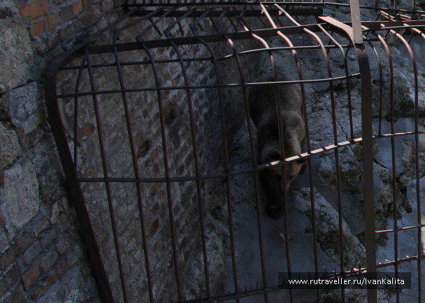 photo 141703