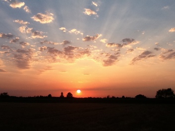 photo 142039