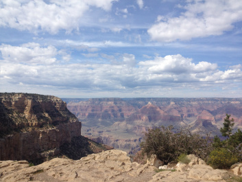 photo 153855