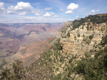 photo 153857
