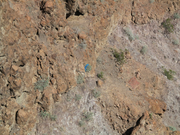 photo 187313