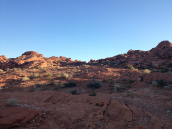 photo 183639