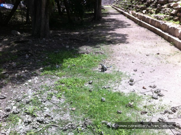 photo 846609