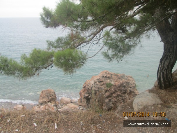 photo 796628