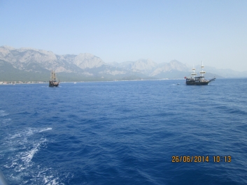 photo 796701