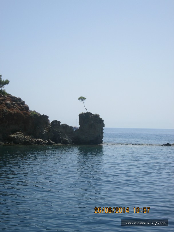 photo 797517