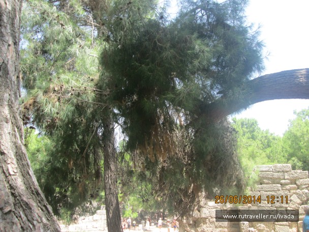 photo 797850