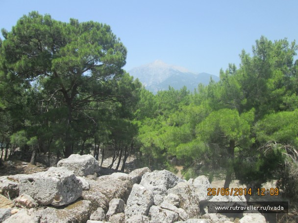 photo 797852