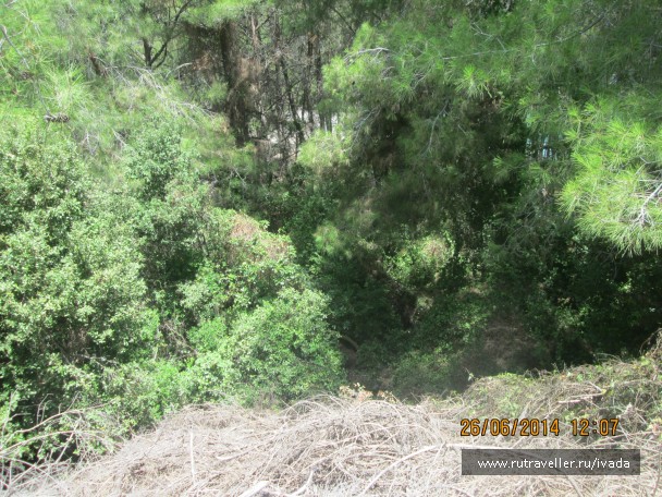 photo 797853