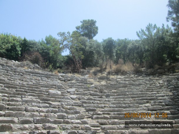 photo 797855