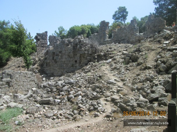 photo 797857