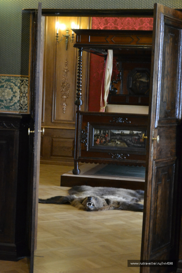 photo 361733