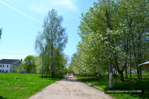 photo 361752