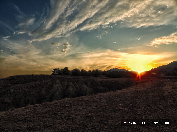 photo 267654