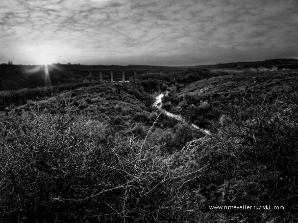 photo 267698