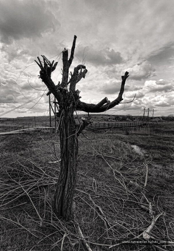 photo 267699