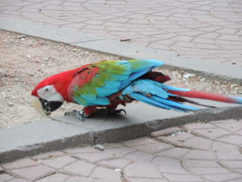 photo 111245