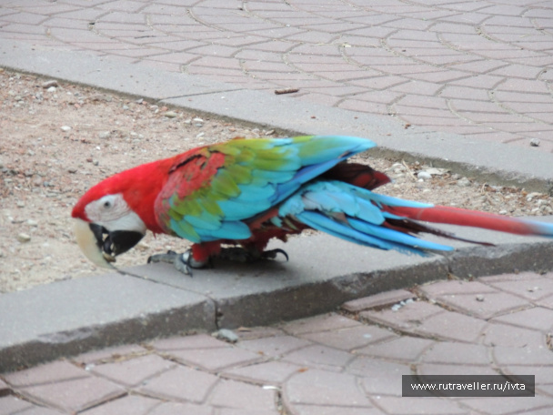 photo 111245