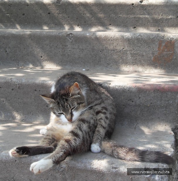photo 112397