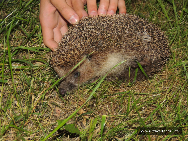 photo 122618