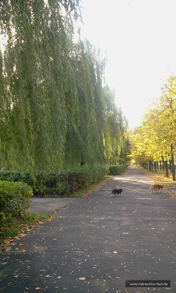 photo 179256