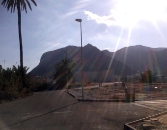 photo 296250