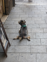 photo 702374