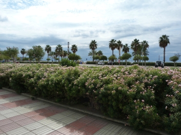 photo 763331