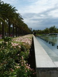 photo 766751