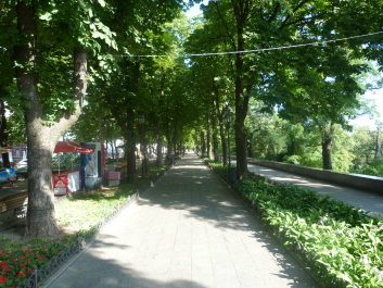 photo 636256