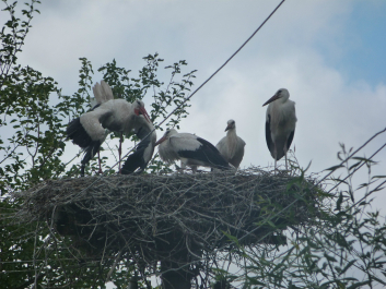 photo 637703