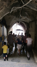 photo 297791