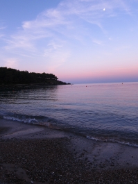 photo 372815