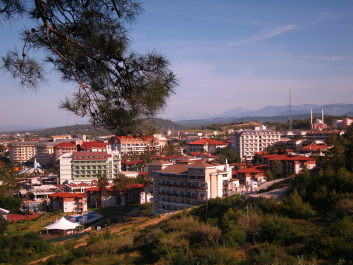 photo 413554
