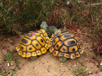 photo 422847