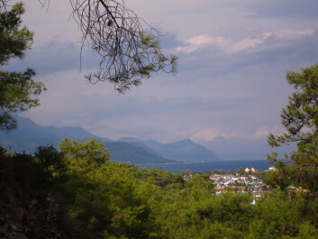 photo 598672
