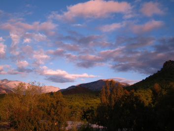 photo 550055