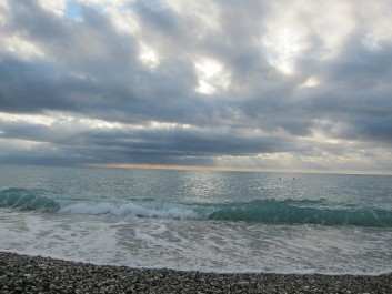 photo 560979
