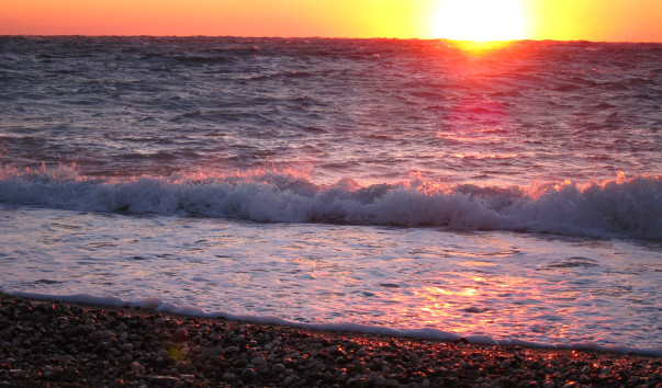 IMG_0800