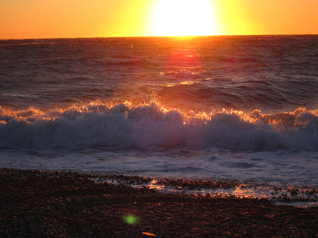 photo 613481
