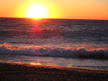 photo 622838