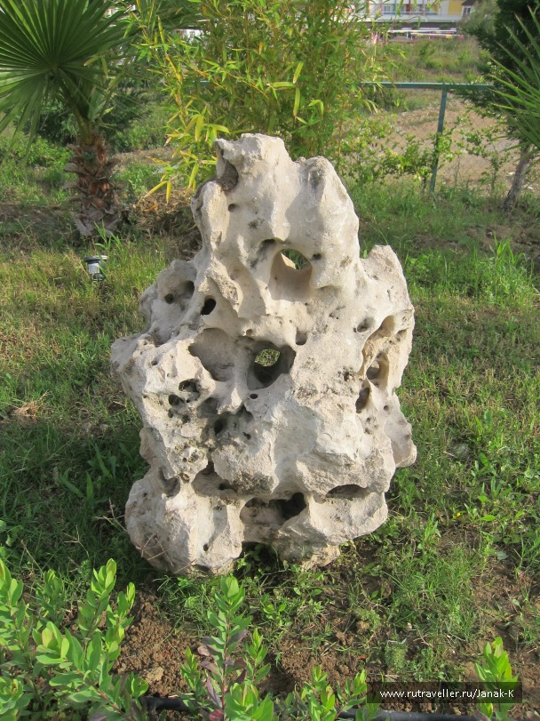 photo 788205