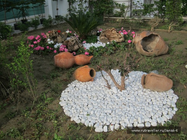 photo 789655