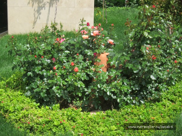photo 791220