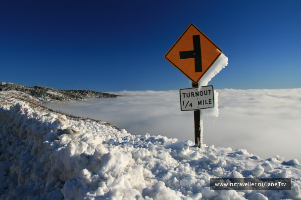 photo 233828
