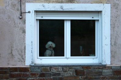photo 1397667