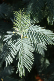 photo 1399313